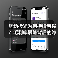 脑动极光为何持续亏损？毛利率暴降背后的隐忧（图4）