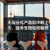 无商业化产品却冲刺上市，盛禾生物如何破局？（图2）