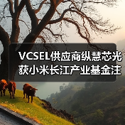 VCSEL供应商纵慧芯光获小米长江产业基金注资（图4）