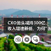 CXO龙头减持300亿,收入增速新低,为何 CXO龙头减持300亿,收入增速新低,为何