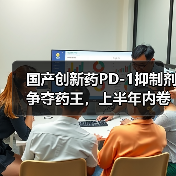国产创新药PD-1抑制剂争夺药王，上半年内卷又赚钱（图1）