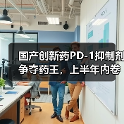 国产创新药PD-1抑制剂争夺药王，上半年内卷又赚钱（图2）