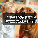 上海电子化学品专区正式成立 光刻胶特气引领国产替代新引擎（图3）