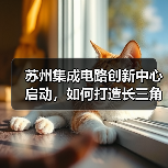 苏州集成电路创新中心启动，如何打造长三角核心产业基地？（图4）