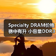 Specialty DRAM价格稳中有升 小容量DDR3 2Gb月涨1%(图3) Specialty DRAM价格稳中有升 小容量DDR3 2Gb月涨1%(图3)