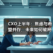CXO上半年:焦虑与希望并存,未来如何破局?(图2) CXO上半年:焦虑与希望并存,未来如何破局?(图2)