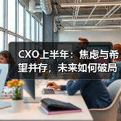 CXO上半年:焦虑与希望并存,未来如何破局?(图4) CXO上半年:焦虑与希望并存,未来如何破局?(图4)