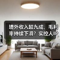 境外收入超九成,毛利率持续下滑?实控人IPO前套现数千万背后有何隐忧?(图1) 境外收入超九成,毛利率持续下滑?实控人IPO前套现数千万背后有何隐忧?(图1)