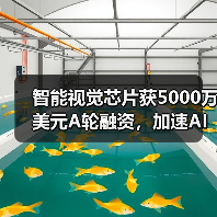 智能视觉芯片获5000万美元A轮融资,加速AI算力落地(图3) 智能视觉芯片获5000万美元A轮融资,加速AI算力落地(图3)