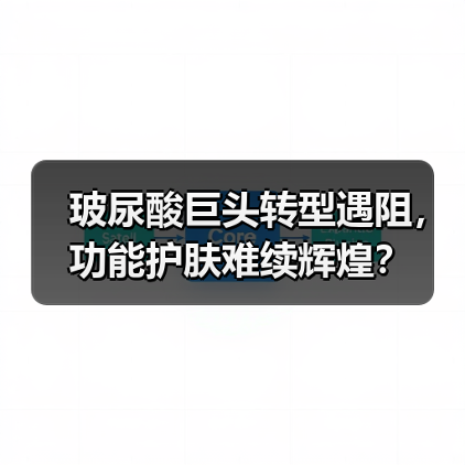 玻尿酸巨头转型遇阻,功能护肤难续辉煌?(图1) 玻尿酸巨头转型遇阻,功能护肤难续辉煌?(图1)