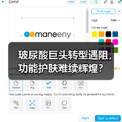 玻尿酸巨头转型遇阻,功能护肤难续辉煌?(图4) 玻尿酸巨头转型遇阻,功能护肤难续辉煌?(图4)
