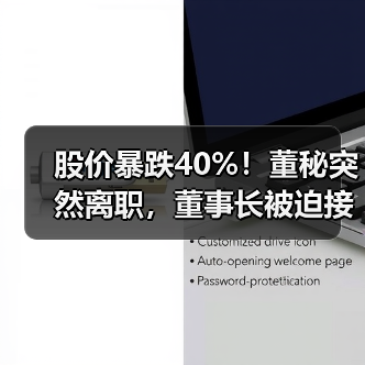股价暴跌40%！董秘突然离职，董事长被迫接管？（图1）