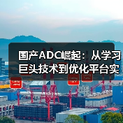 国产ADC崛起:从学习巨头技术到优化平台实现超越(图3) 国产ADC崛起:从学习巨头技术到优化平台实现超越(图3)