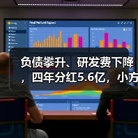 负债攀升、研发费下降,四年分红5.6亿,小方制药真的缺钱吗?(图1) 负债攀升、研发费下降,四年分红5.6亿,小方制药真的缺钱吗?(图1)