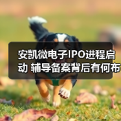 安凯微电子IPO进程启动 辅导备案背后有何布局？（图3）