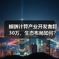 鲲鹏计算产业开发者超30万，生态布局如何？（图3）