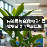 闪迪品牌会消失吗？西数更名澄清背后真相（图4）