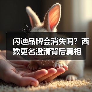 闪迪品牌会消失吗？西数更名澄清背后真相（图3）