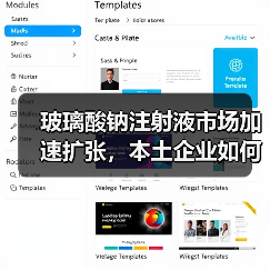 玻璃酸钠注射液市场加速扩张，本土企业如何抢占全球份额？（图1）