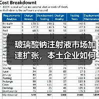 玻璃酸钠注射液市场加速扩张，本土企业如何抢占全球份额？（图3）