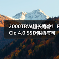 2000TBW超长寿命!PCIe 4.0 SSD性能与可靠性如何?(图1) 2000TBW超长寿命!PCIe 4.0 SSD性能与可靠性如何?(图1)