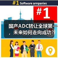 国产ADC转让全球第一，未来如何走向成功？（图2）