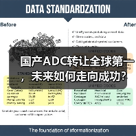 国产ADC转让全球第一，未来如何走向成功？（图4）