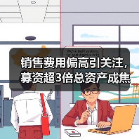 销售费用偏高引关注,募资超3倍总资产成焦点(图1) 销售费用偏高引关注,募资超3倍总资产成焦点(图1)