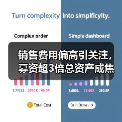 销售费用偏高引关注,募资超3倍总资产成焦点(图4) 销售费用偏高引关注,募资超3倍总资产成焦点(图4)