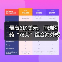 最高6亿美元,恒瑞医药“双艾”组合海外权益能否变现?(图1) 最高6亿美元,恒瑞医药“双艾”组合海外权益能否变现?(图1)