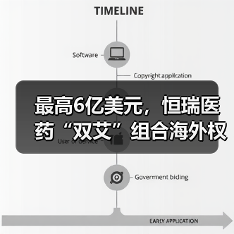 最高6亿美元,恒瑞医药“双艾”组合海外权益能否变现?(图4) 最高6亿美元,恒瑞医药“双艾”组合海外权益能否变现?(图4)
