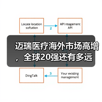 迈瑞医疗海外市场高增,全球20强还有多远(图1) 迈瑞医疗海外市场高增,全球20强还有多远(图1)