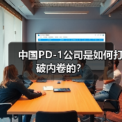 中国PD-1公司是如何打破内卷的?(图4) 中国PD-1公司是如何打破内卷的?(图4)