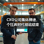CXO公司集体降速，一个狂奔时代彻底结束（图1）