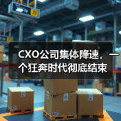 CXO公司集体降速，一个狂奔时代彻底结束（图3）