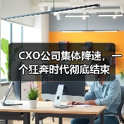 CXO公司集体降速，一个狂奔时代彻底结束（图4）