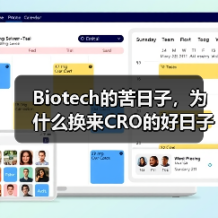 Biotech的苦日子,为什么换来CRO的好日子(图2) Biotech的苦日子,为什么换来CRO的好日子(图2)