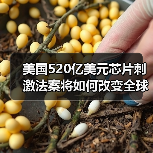美国520亿美元芯片刺激法案将如何改变全球半导体格局?(图1) 美国520亿美元芯片刺激法案将如何改变全球半导体格局?(图1)