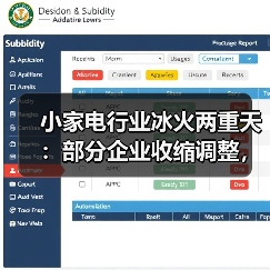 小家电行业冰火两重天：部分企业收缩调整，另一些却加速扩产（图1）