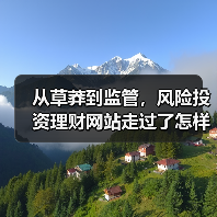 从草莽到监管，风险投资理财网站走过了怎样跌宕的十五年？（图3）