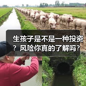 生孩子是不是一种投资?风险你真的了解吗?(图1) 生孩子是不是一种投资?风险你真的了解吗?(图1)