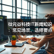 微元谷科技IT新闻知识：常见场景、选择要点与注意事项（图1）