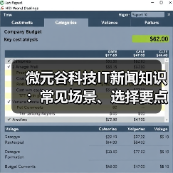 微元谷科技IT新闻知识：常见场景、选择要点与注意事项（图4）