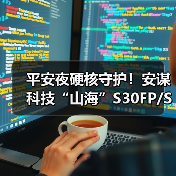 平安夜硬核守护!安谋科技“山海”S30FP/S30P SPU IP发布(图4) 平安夜硬核守护!安谋科技“山海”S30FP/S30P SPU IP发布(图4)